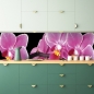 Preview: Spritzschutz Küche Exotische Orchideen
