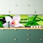 Preview: Spritzschutz Küche Orchidee Spa
