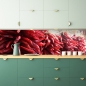 Preview: Spritzschutz Küche Getrocknete Chilischoten