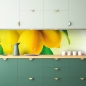 Preview: Spritzschutz Küche Zitronenbaum