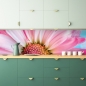 Preview: Spritzschutz Küche Blume in Rosa