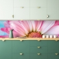 Preview: Spritzschutz Küche Rosa Blume