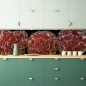 Preview: Spritzschutz Küche Himbeere unter Wasser