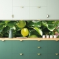 Preview: Spritzschutz Küche Zitronenbaum