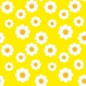 Preview: Spritzschutz Küche Gänseblümchen Gelb