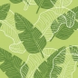 Preview: Spritzschutz Küche Palm Blätter Grün