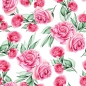 Preview: Spritzschutz Küche Rosa Aquarell Rosen