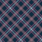 Preview: Spritzschutz Küche Stewart Tartan