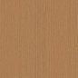 Preview: Türposter Holzplatte Ulme