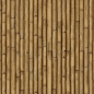 Preview: Türposter Bambus Optik