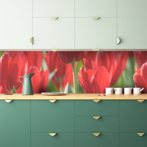 Küchenrückwand Rote Tulpen