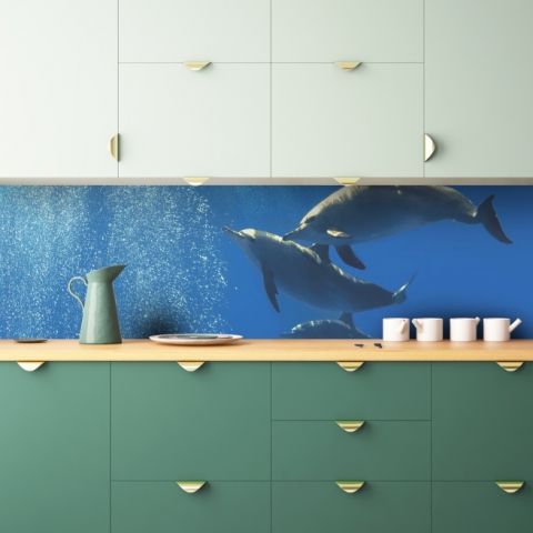 Küchenrückwand Delfine im Meer