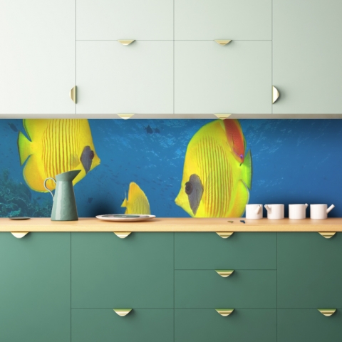 Küchenrückwand Aquarium Fische