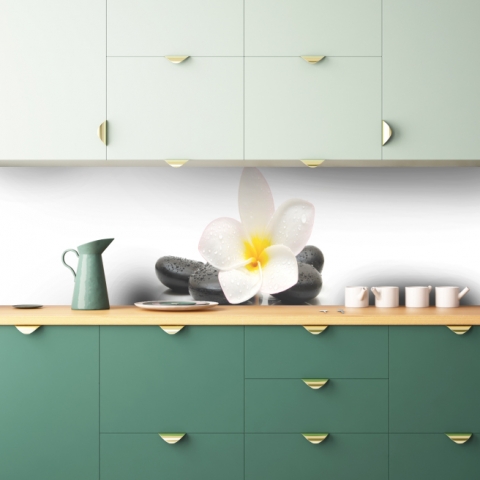 Küchenrückwand Zen Stein Plumeria Blume