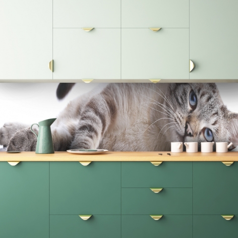 Küchenrückwand Katze