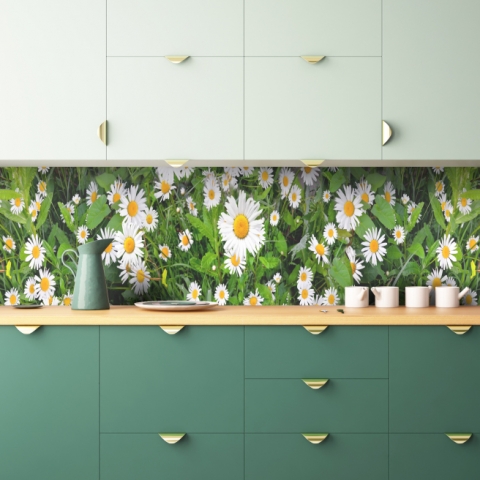Küchenrückwand Margeriten Blumen