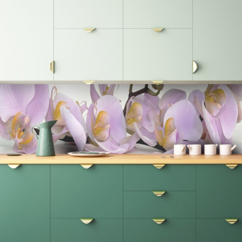 Küchenrückwand Blühende Orchidee