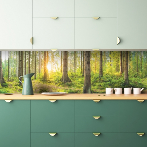 Küchenrückwand Sonne Natur Wald
