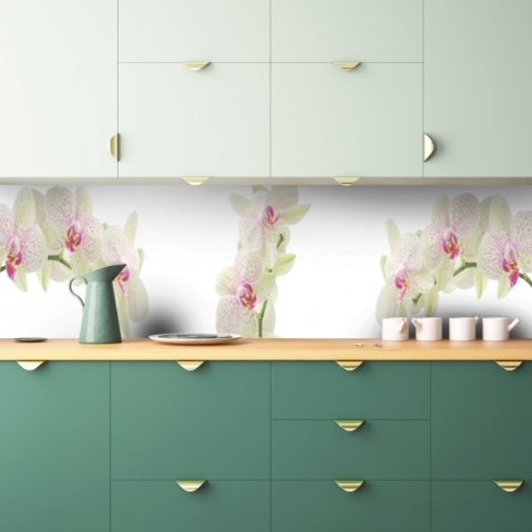 Küchenrückwand Orchideen Bild