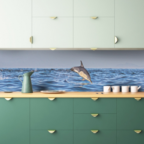 Küchenrückwand Delphine im Meer