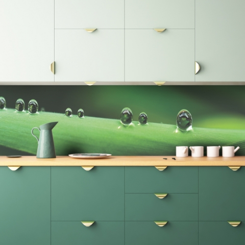 Küchenrückwand Pflanze Wassertropfen