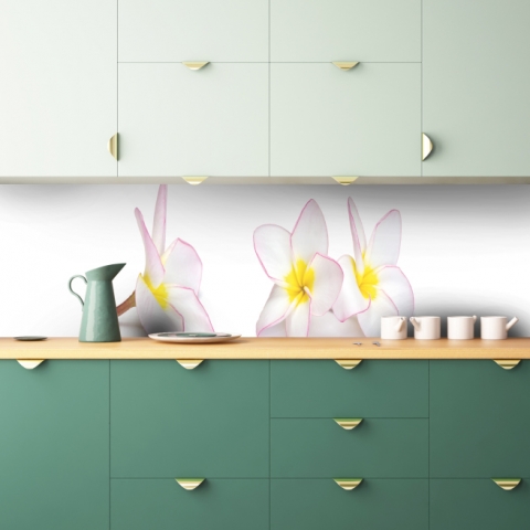 Küchenrückwand Plumeria Blume