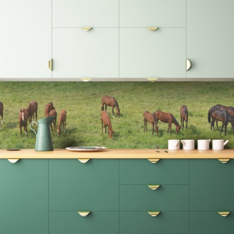 Küchenrückwand Pferde