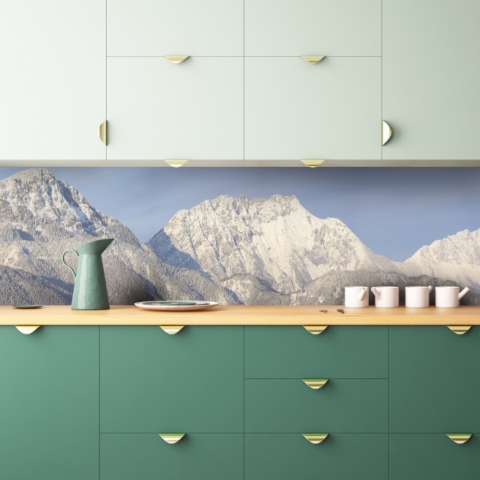 Küchenrückwand Schwarzwald Berge