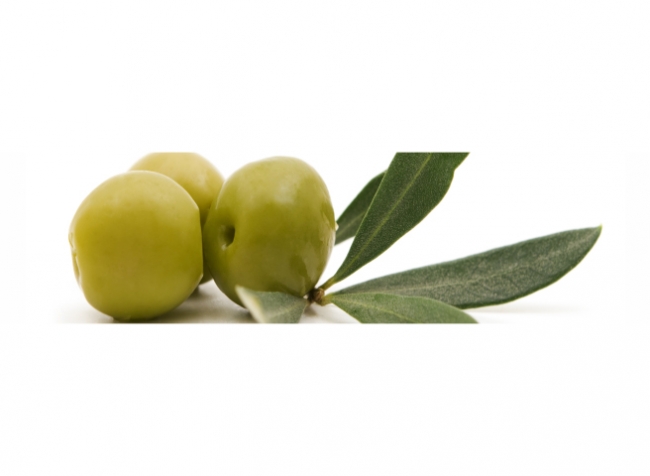 Küchenrückwand Grüne Oliven