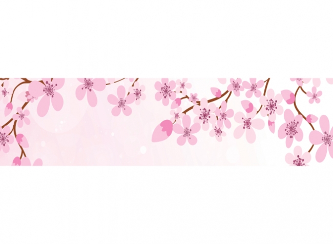 Küchenrückwand Japanische Kirschblüten