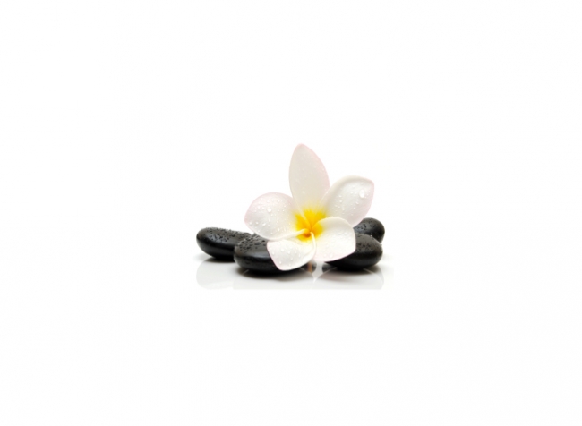 Küchenrückwand Zen Stein Plumeria Blume