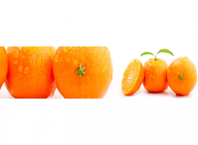 Küchenrückwand Frische Orangen