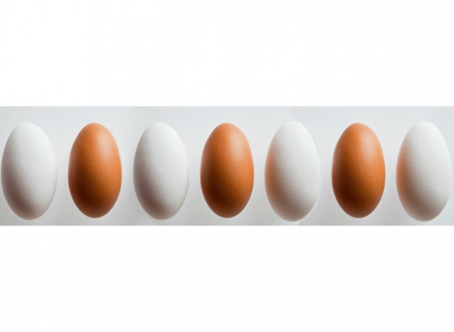Küchenrückwand Braun Weiße Eier