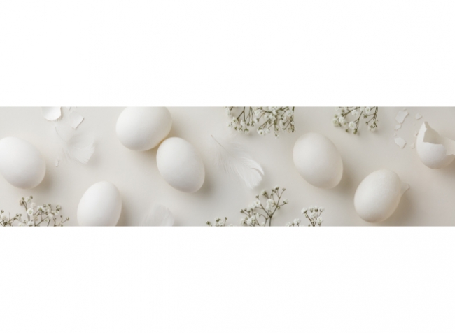Küchenrückwand Weiße Eier Deko