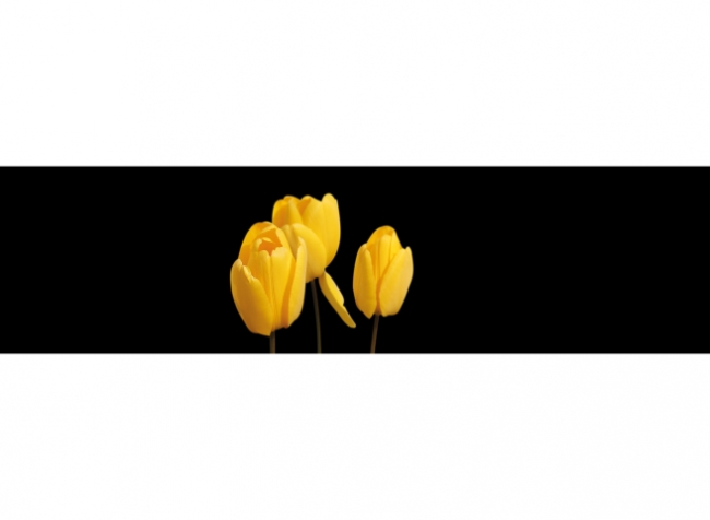 Küchenrückwand Gelbe Tulpen