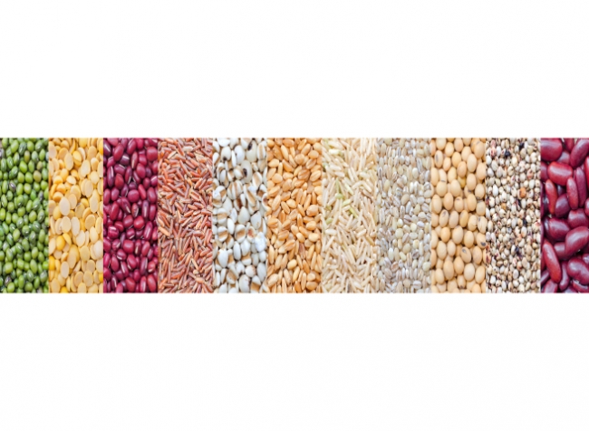 Küchenrückwand Getreide Vielfalt
