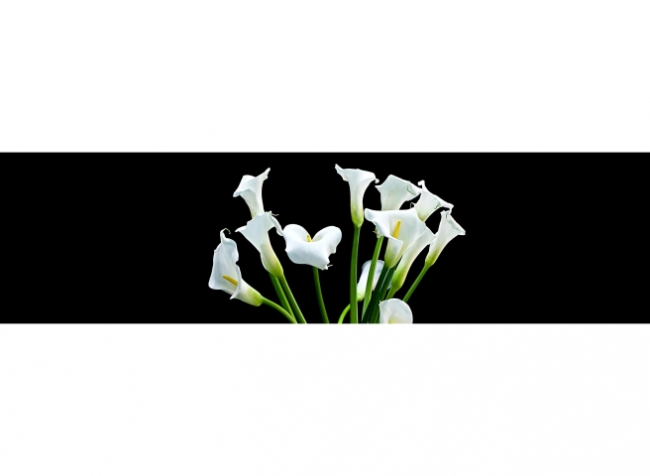 Küchenrückwand Calla Blumenstrauß
