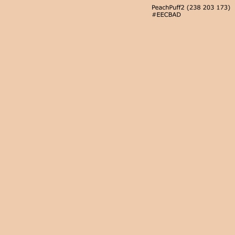 Küchenrückwand PeachPuff2 (238 203 173) #EECBAD