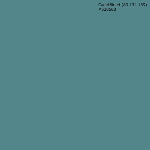 Küchenrückwand CadetBlue4 (83 134 139) #53868B