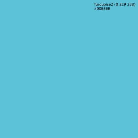 Küchenrückwand Turquoise2 (0 229 238) #00E5EE