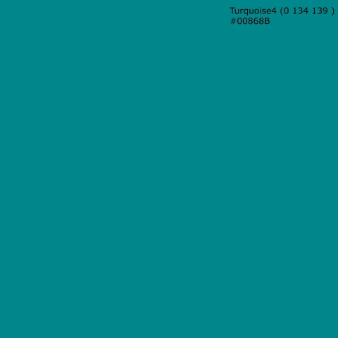Küchenrückwand Turquoise4 (0 134 139 ) #00868B