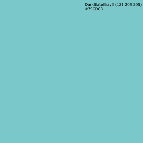 Küchenrückwand DarkSlateGray3 (121 205 205) #79CDCD