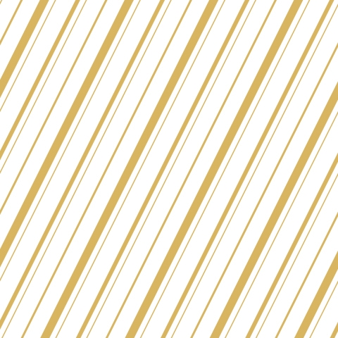 Küchenrückwand Golden Lines