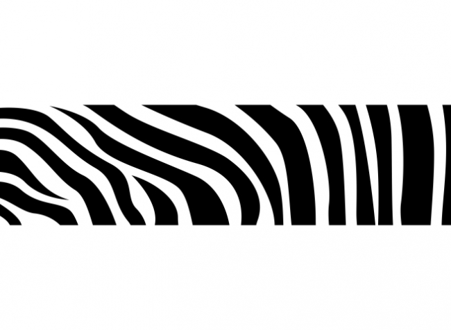 Küchenrückwand Zebra Muster