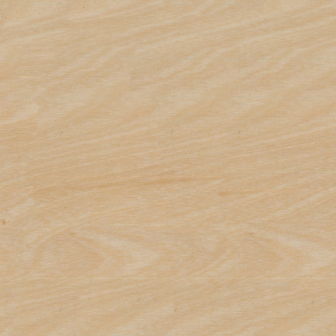 Küchenrückwand Holz Fichte