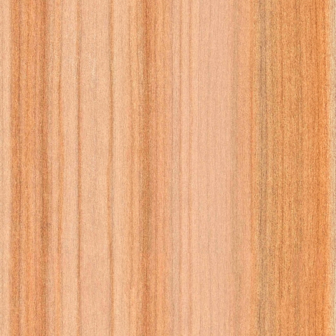 Küchenrückwand Elsbeere Holz