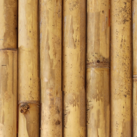 Küchenrückwand Bamboo Bark