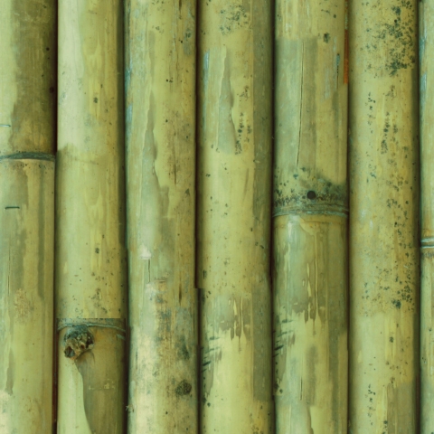 Spritzschutz Küche Bamboo