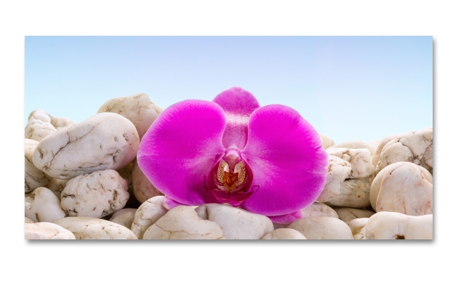 Spritzschutz Küche Orchidee Steine