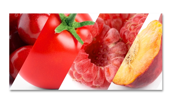 Spritzschutz Küche Rote Früchte